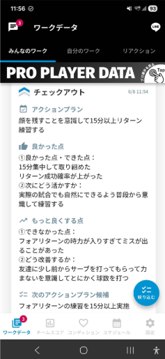 Build ワークデータ画面